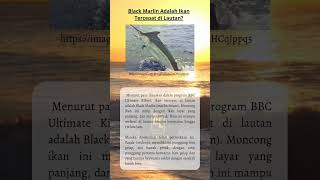 Black Marlin Adalah Ikan Tercepat di Lautan? #bioeduka #faktaunik #biofacts