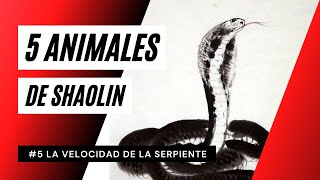 Los 5 animales de Shaolin: La velocidad de la Serpiente