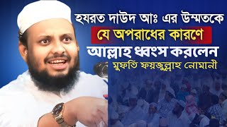 হযরত দাউদ আঃ এর উম্মতের ধ্বংসের কারণ | মুফতি ফয়জুল্লাহ নোমানী Mufti Foyjullah Numani  New Waz 2024