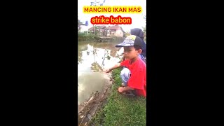 mancing dapat ikan mas babon#shorts #ikanmas #mancing