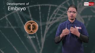 9. Development of Embryo | Class 8 | Chapter 9