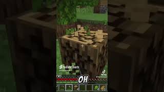 IF WE DIE IN MINECRAFT HARDCORE WE DO PUNISHMENTS #shorts