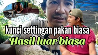 kunci settingan pakan biasa hasil luar biasa