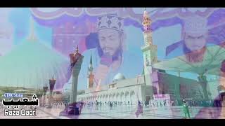 Ho Karam Sarkar Ab To Ho Gaye Gham BeShumar | New Latest Kalam 2024 | Shoaib Raza Qadri | New Naat