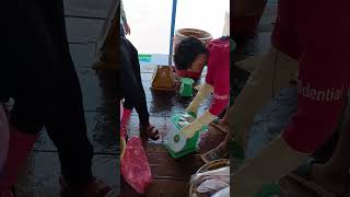 4 months in Asia - Kampong floating village on lake Tonlé Sap 2, Cambodia