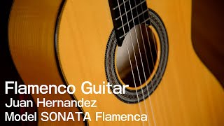 【おすすめフラメンコギター】ホアン・エルナンデス Sonata Flamenca フラメンコギター名手による演奏！