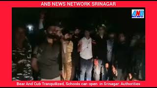 Bear And Cub captured, Schools can open normally in Srinagar: Authorities