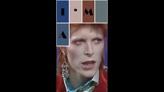 David Bowie "I'm a collector."