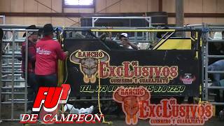 🐂FURIA DE CAMPEÓN🐂 VS ELEGANTE DE NAYARIT 🐂LOS EXCLUSIVOS