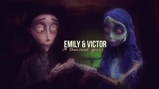 ► Emily + Victor [Corpse Bride] ║ A Thousand Years