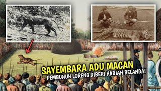 Rampogan Macan, Tradisi Pembantaian Harimau Jawa Yang Kini Sudah Punah