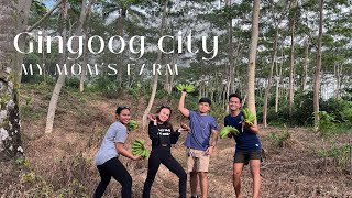 My mom’s farm in Gingoog City | Tagay sa bukid ⛰ | Philippines 🇵🇭