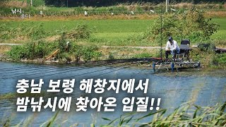 [낚시가 좋다] 15회_보령 해창지 붕어낚시에 찾아온 기회의 순간!!