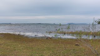 VENDO IMÓVEL COM 6,O HECTARES NA BEIRA DO RIO SÃO FRANCISCO.