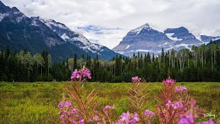 Mt Robson - Jasper  | Anamorphic 4K UltraHD