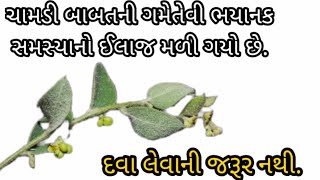 ચામડી બાબતની ગમેતેવી ભયાનક બિમારી હોય તો પણ આ વનસ્પતિના મૂળનો ઉપયોગ કરી તમામ ચામડીની સમસ્યા થશે દૂર.