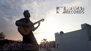 Jenny and The Mexicats - Pantera Guitar Cover "To The Hip Gotta Go"