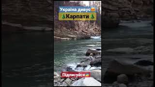 Україна, Карпати🌲🇺🇦 Подорожі, ліс, гірська річка. Природа.Ukrainian nature.