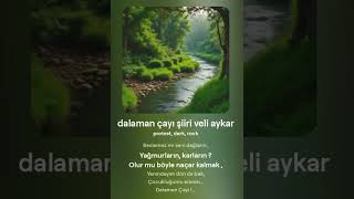 Dalaman Çayı- Şiir Veli Aykar - Müzik: Yapay zeka