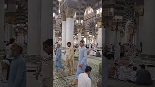 Beautiful View of Masjid e Nabvi SAW #المدينة_المنورة #shortvideo #viral