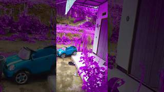 Leaves and plants change to purple color💜#comedy #viralvideo #subscribe #funny #shorts