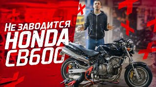 Не заводится Honda CB 600 | Оживляем мертвеца