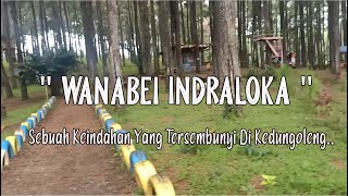 Wisata Lokal : Wisata Hutan Pinus " Wanabei Indraloka". ( WISATA BREBES )