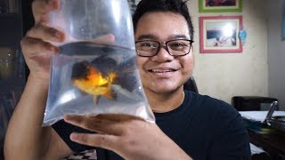 UNBOXING MASKOKI ORANDA THAILAND KW WKWK