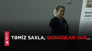 COP29-un 11-ci günü: Onların işi qonaqları təmiz bir məkanda qarşılamaqdır – APA TV