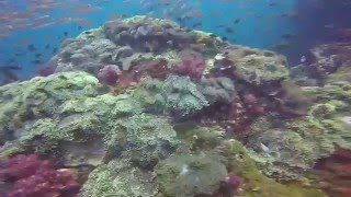 Teaser Thailand Similan dive - short version