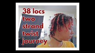 My 2nd Loc Journey 38 locs