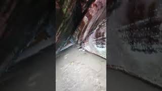 We explored a cave ( ignore the sucking sound I had mouth ulcer and it is painful 😭 )