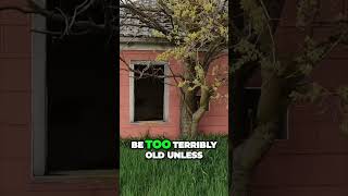 Abandoned Farmhouse in Nebraska