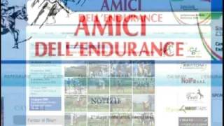 AMICI DELL'ENDURANCE.it