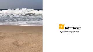 vinhetas RTP CIDADELA Verão