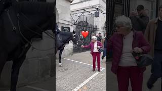 King’s Guard Horses! A touch of love ❤️ #royalguards #london #viralvideo #short  #tiktok