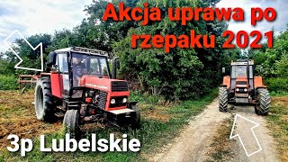 Akcja uprawa po rzepaku 2021!!! Zetor Crystal 8011 & Unia kos☆ZTS 16245 & Grano System