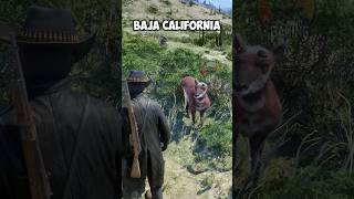 RDR2 : 5 COMPLETED OFF MAP locations #rdr2 #gaming #arthurmorgan #rdo #rockstar