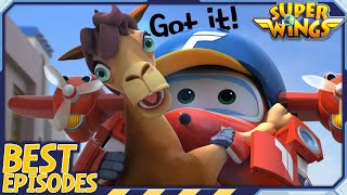 [SUPERWINGS Best] Chasing the Runaway Animal | Superwings | Super Wings | Best Compilation A2