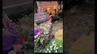 Colorful KOI FISH | Spring Display 2023 | BELLAGIO LAS VEGAS #shorts #vegas