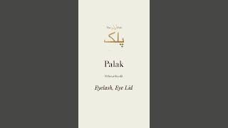 Palak Name Status With Best Music video # Names Short Video