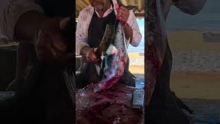 Tuna Fish Cutting Skills 100 Pieces Cutting in 20 Seconds Superb!! #shorts