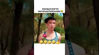 #video #bishkekkyrgyzstan 🤣🤣🤣#каталабыз