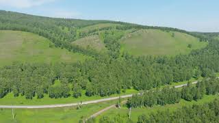 Aerial view of green fields and road