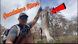 Catching RAINBOW TROUT with a Rooster Tail Lure at the Guadalupe River Dec 14th 2023.