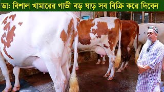 ডাক্তার তার বিশাল খামার বন্ধ করে দিবেন গাভী বড় ষাড় সব বিক্রি করে দিবেন dairy farm