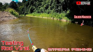 STREAM FISHING | Pertama Kali Menggunakan Rod FIBERGLASS | Mahseer Emas