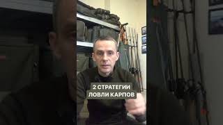 2 стратегии ловли карпов shorts #shorts