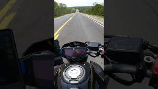 FZ07 ripping down a hill #shorts #yamaha #fz07 #mt07