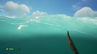 Sea of Thieves Sword launch bug